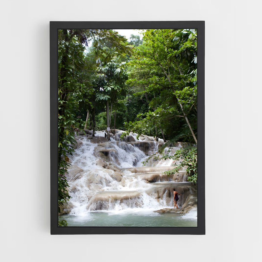 ap-dunn's river falls-2 cadre Noir