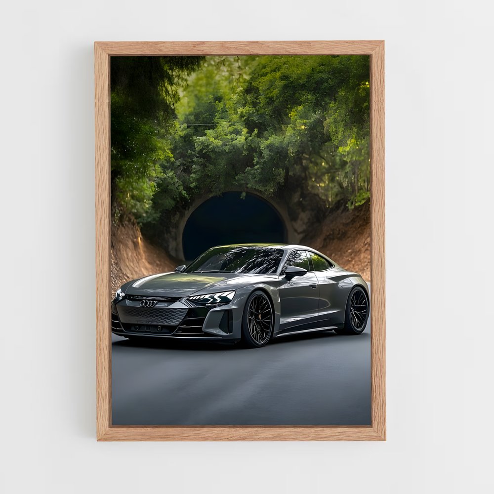 ap-e-tron gt-1 cadre Bois clair