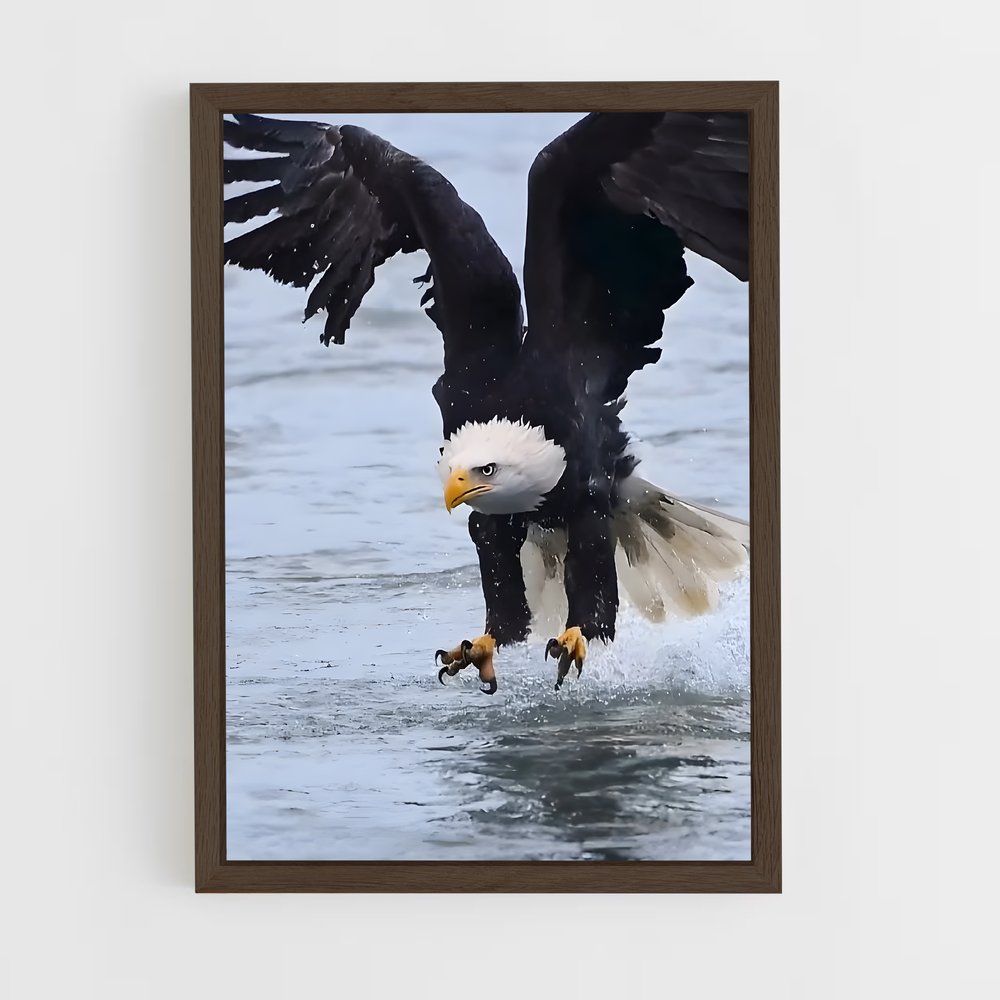 ap-eagle-3 cadre Bois foncé