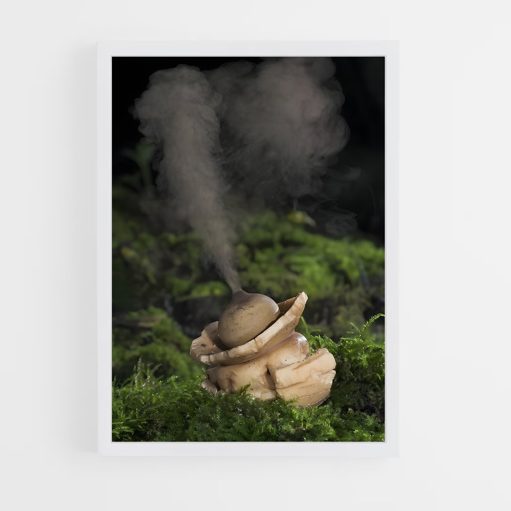 ap-earthstar-2 cadre Blanc
