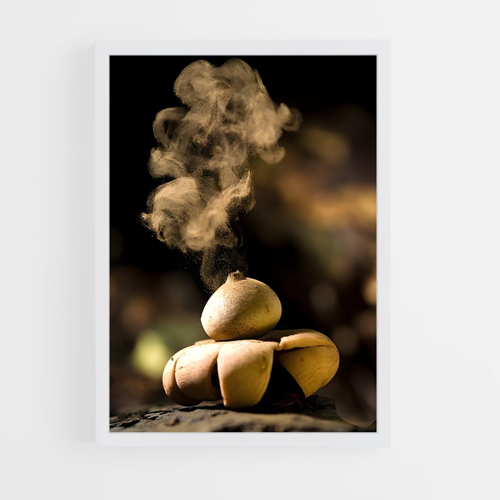 ap-earthstar-3 cadre Blanc