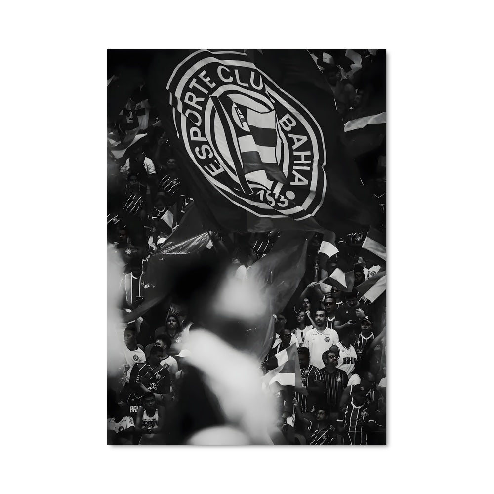 Poster Fan Zone