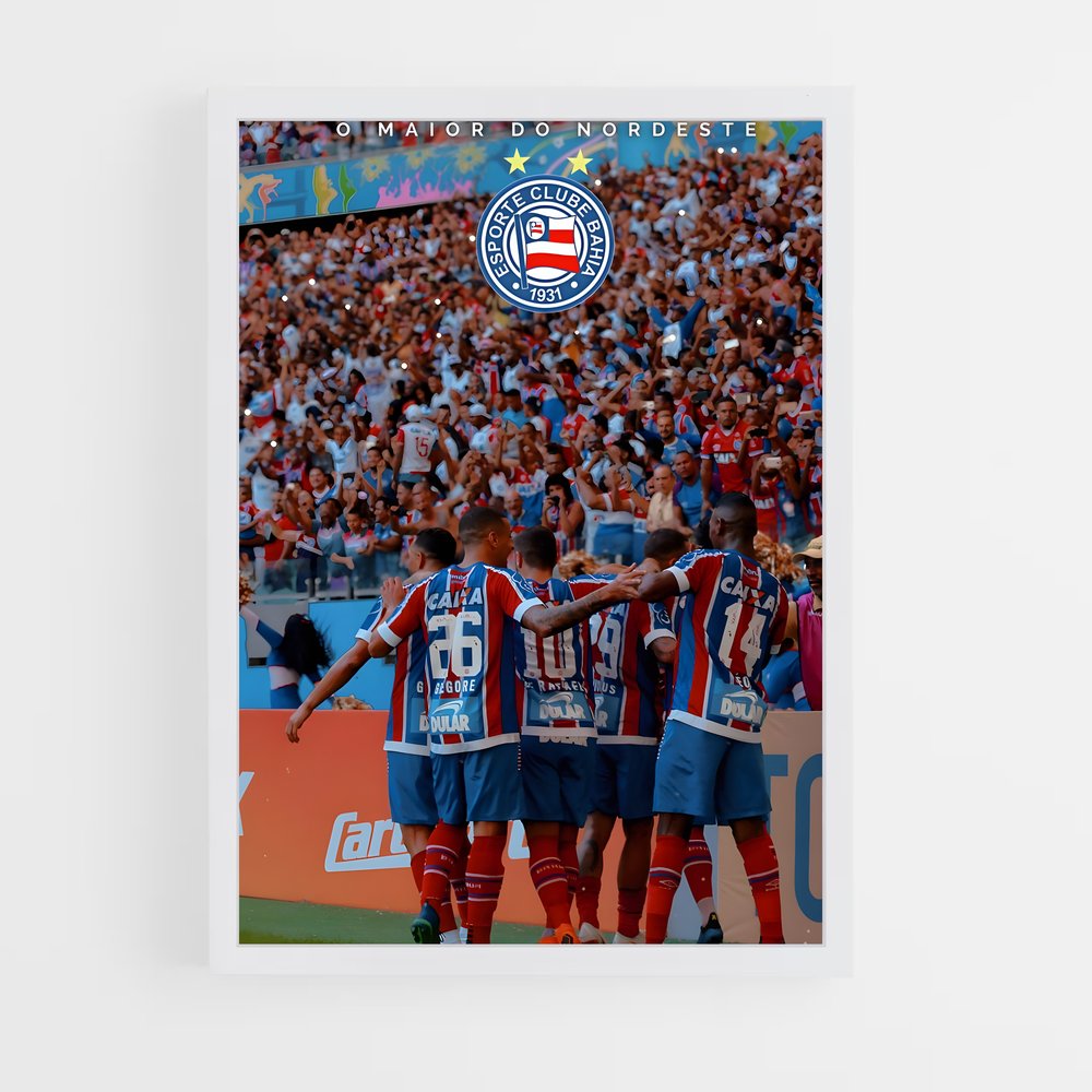 ap-ec bahia-5 cadre Blanc