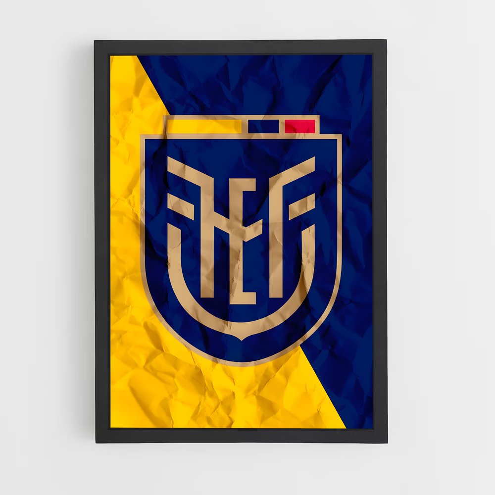 ap-ecuador national football team-2 cadre Noir