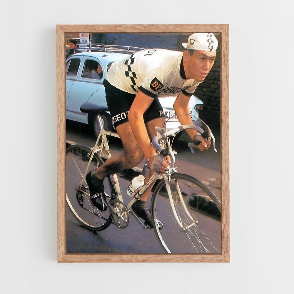 ap-eddy merckx-6 cadre Bois clair