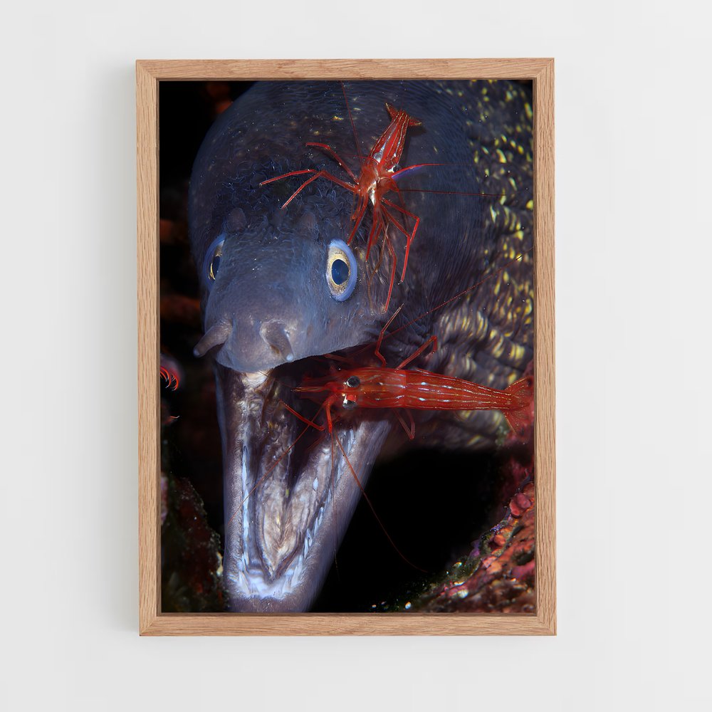 ap-eel-3 cadre Bois clair