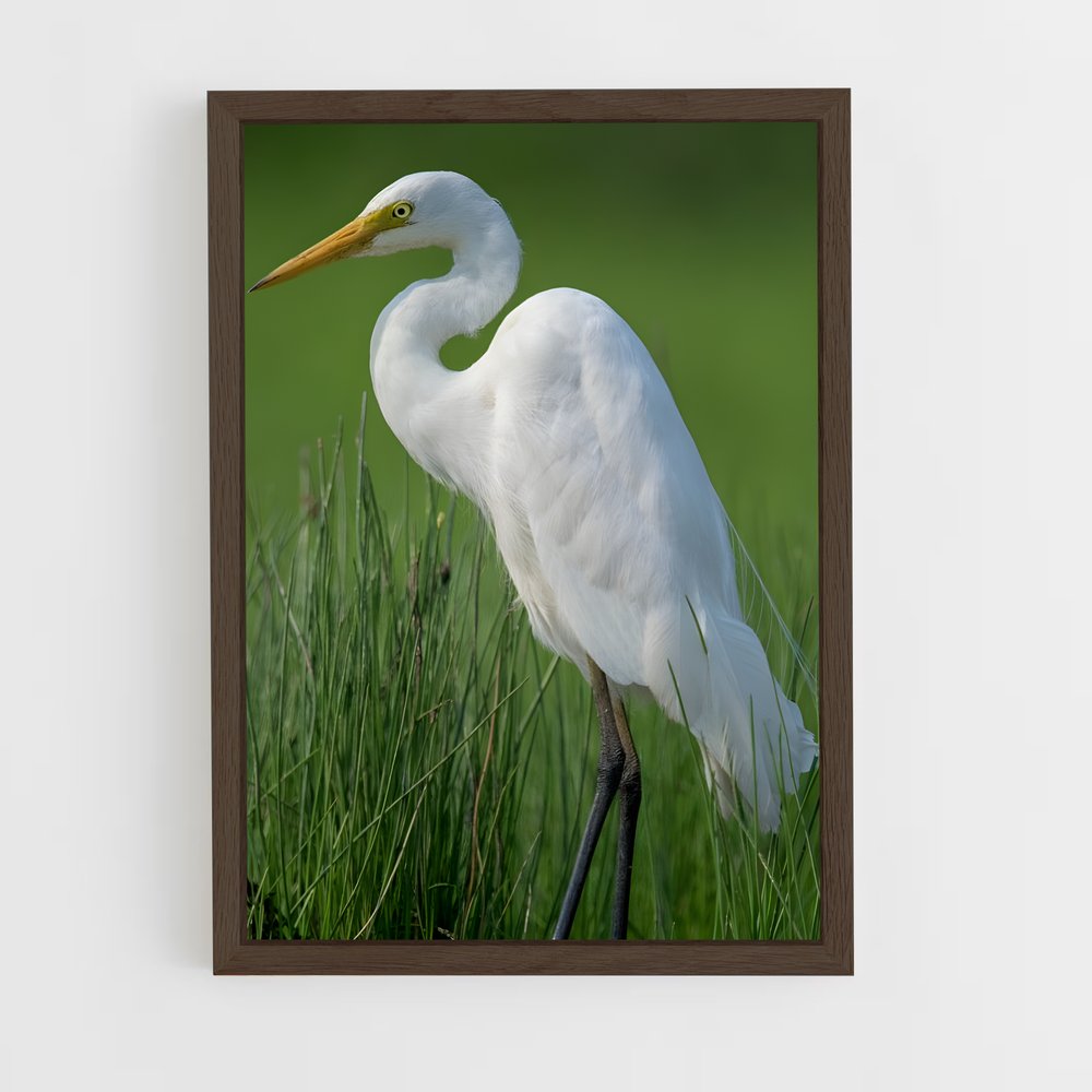 ap-egret-3 cadre Bois foncé