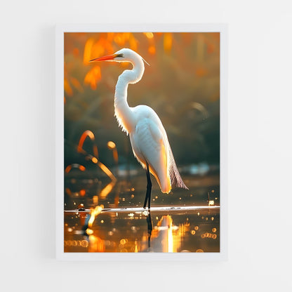 ap-egret-4 cadre Blanc
