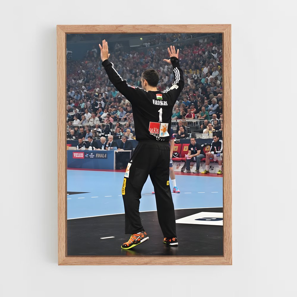 ap-ehf champions league-1 cadre Bois clair