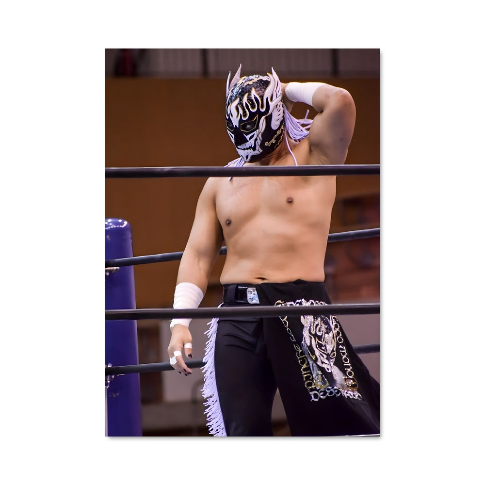Poster Luchador en Action