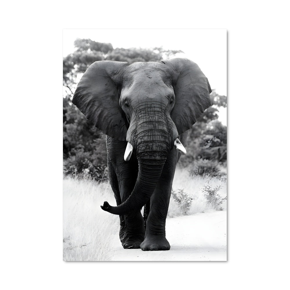 Poster La Route de l'Éléphant