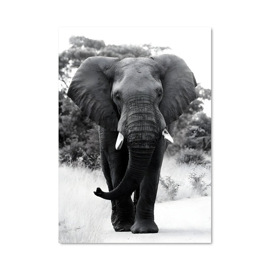 Poster La Route de l'Éléphant