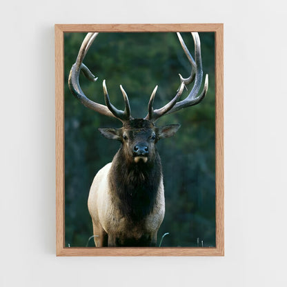 ap-elk-3 cadre Bois clair