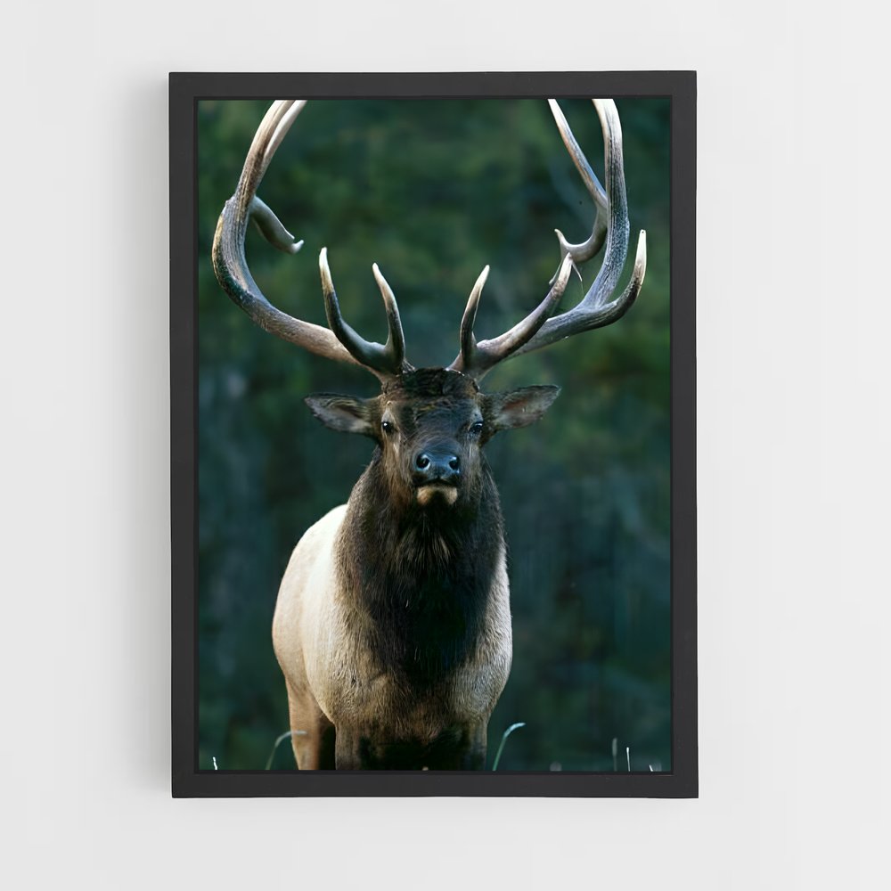 ap-elk-3 cadre Noir