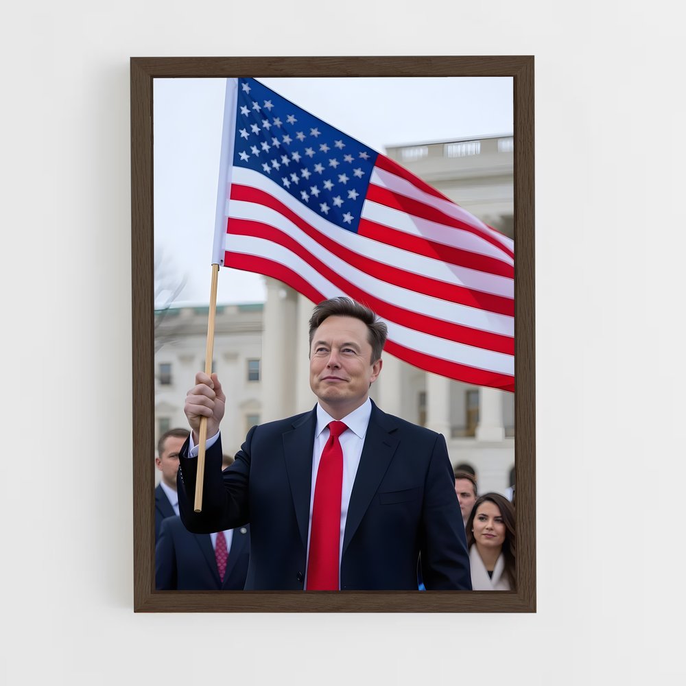 ap-elon musk-1 cadre Bois foncé