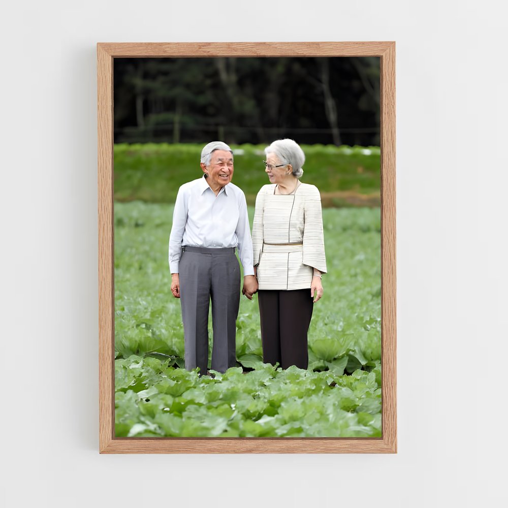 ap-emperor emeritus akihito-2 cadre Bois clair