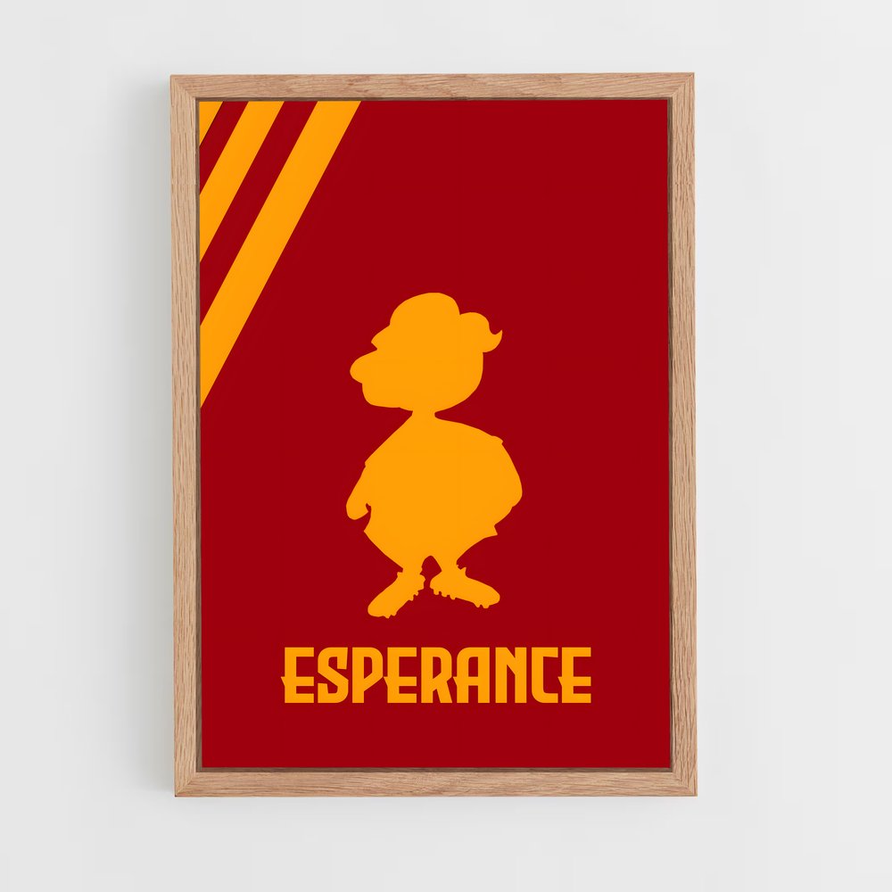 ap-esperance sportive de tunis-2 cadre Bois clair