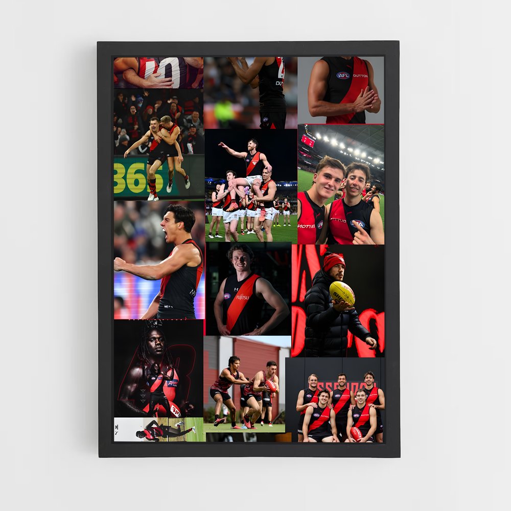 ap-essendon bombers-1 cadre Noir