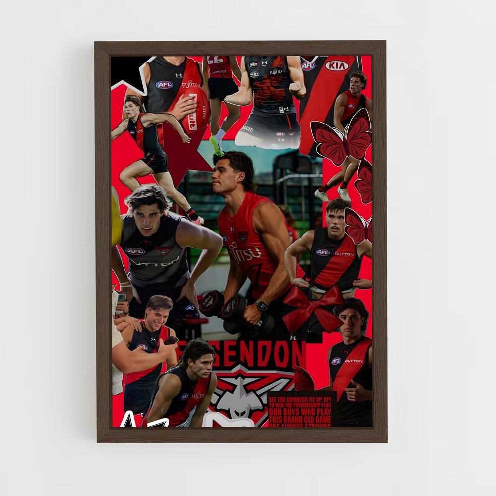 ap-essendon bombers-3 cadre Bois foncé