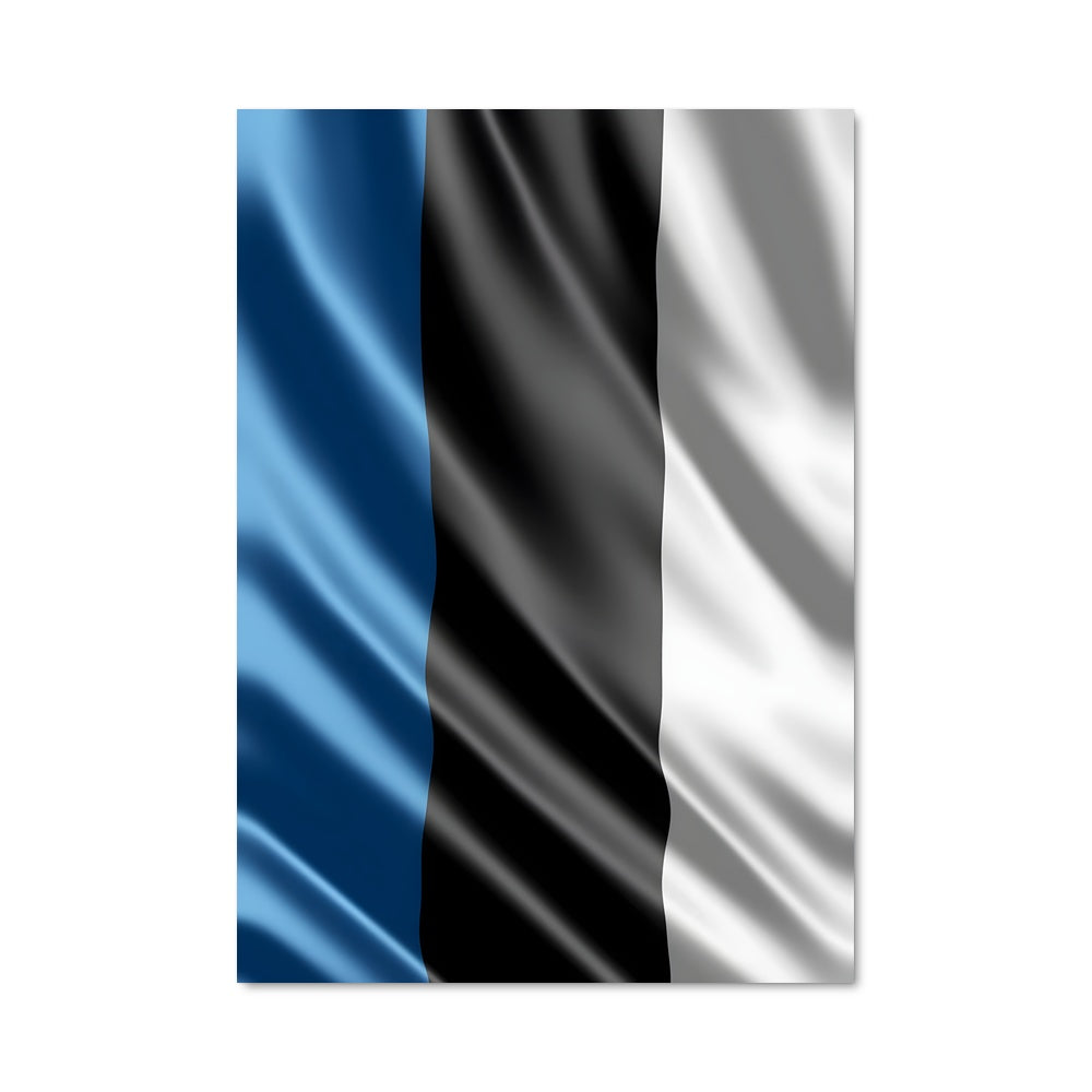 Poster Tricolore Éternel