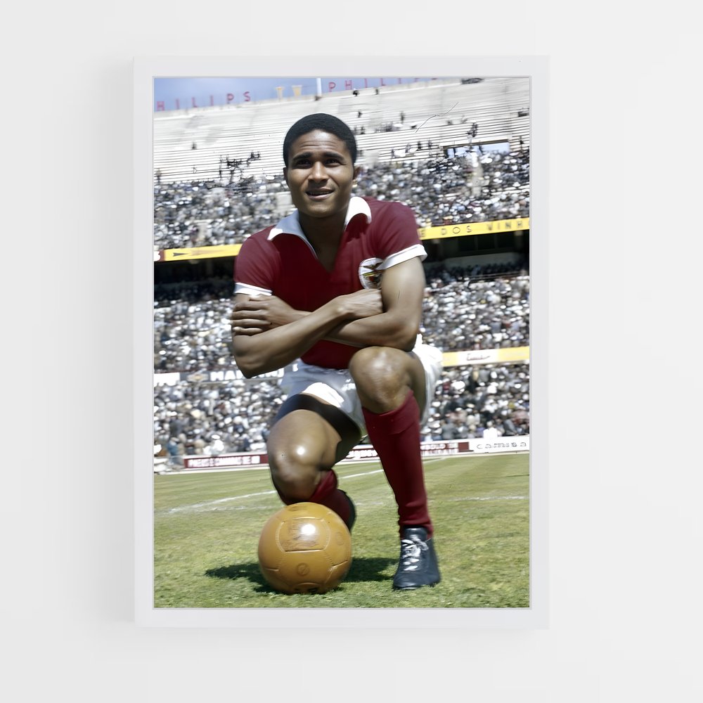 ap-eusebio-1 cadre Blanc