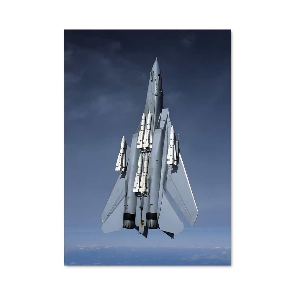 Poster Tomcat en Vol