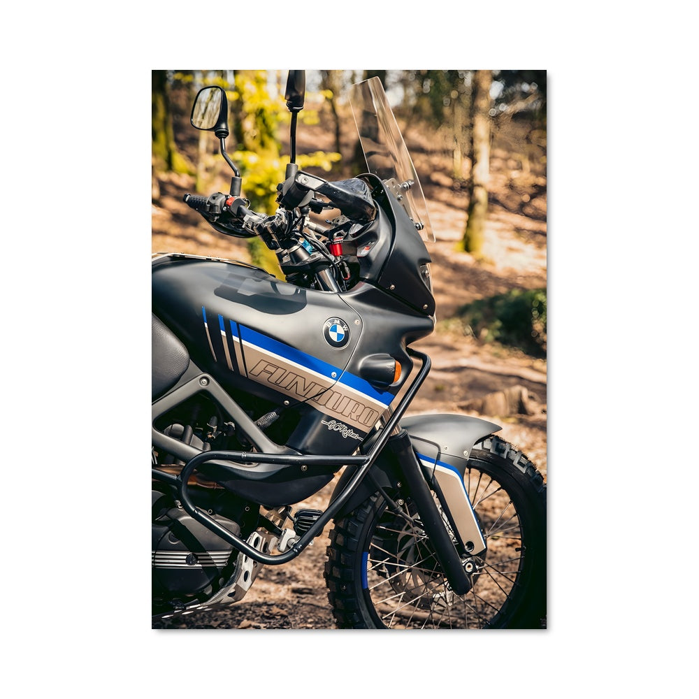 Poster F 650 gs 81929