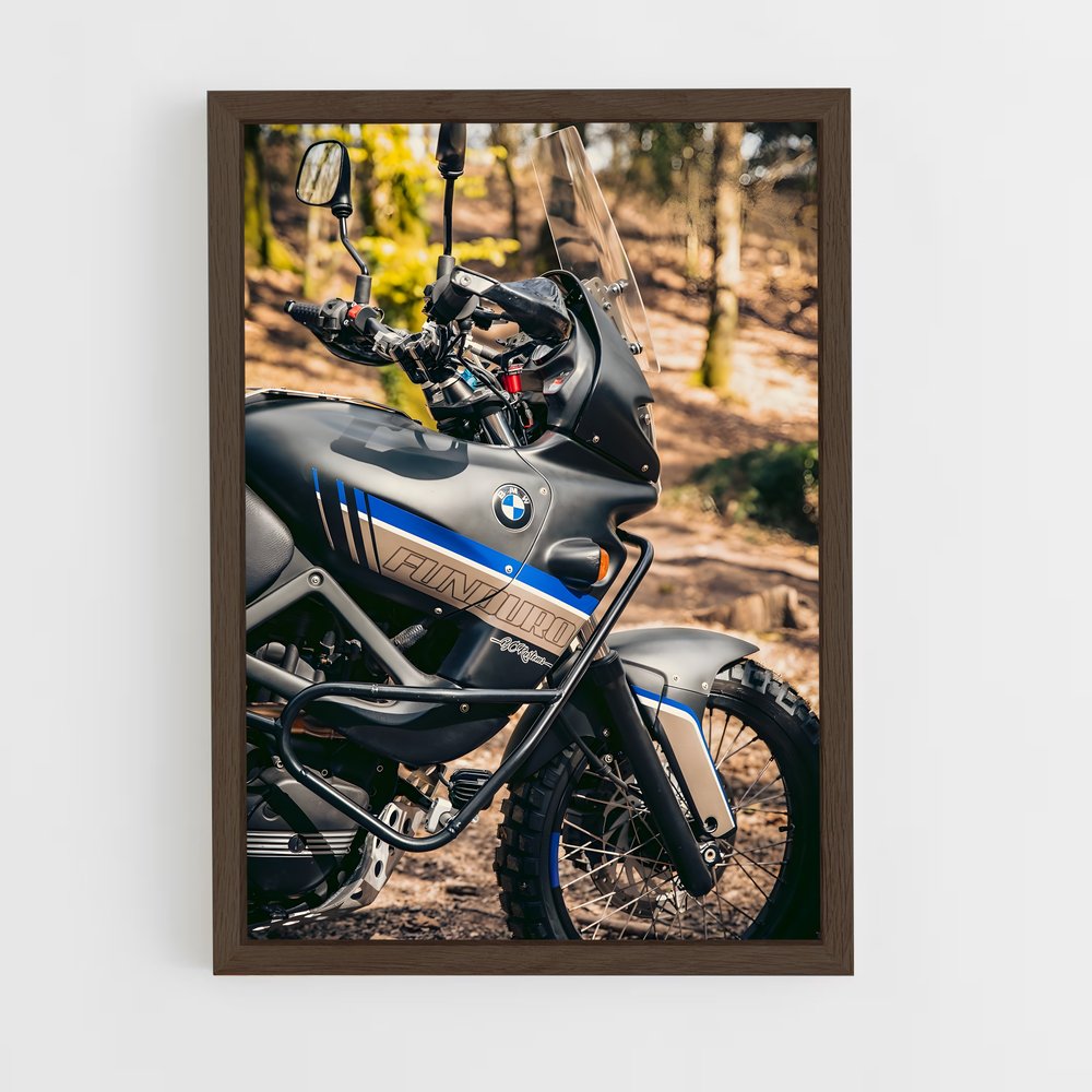 ap-f 650 gs-3 cadre Bois foncé