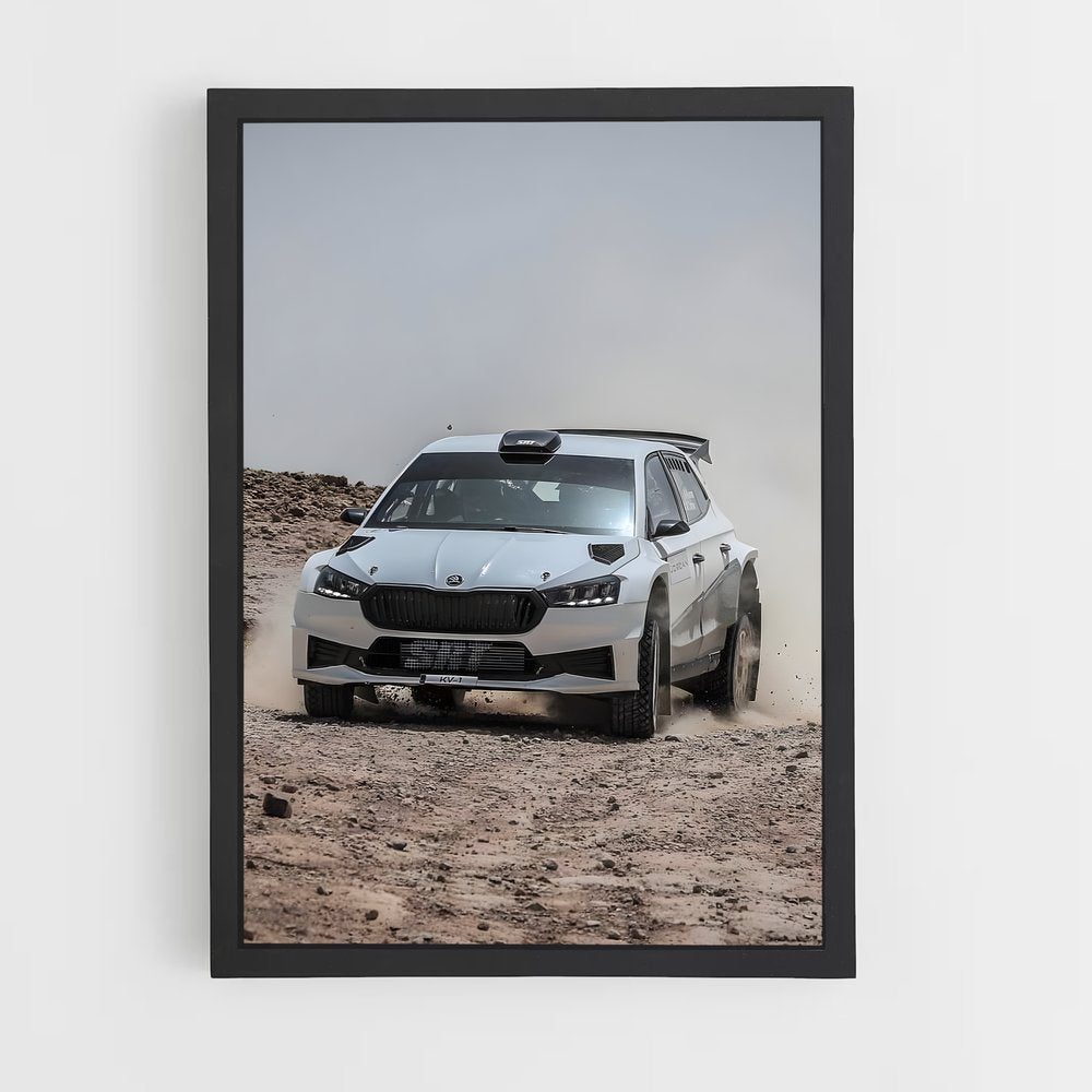 ap-fabia rs-1 cadre Noir