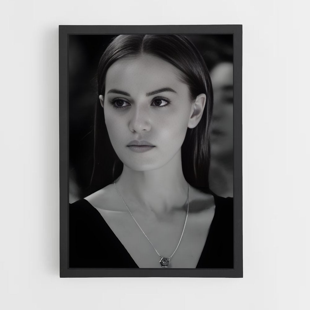 ap-fahriye evcen-6 cadre Noir