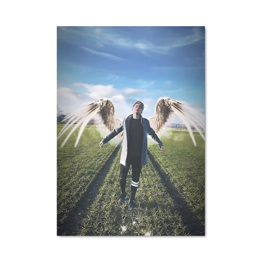 Poster Ailes de Liberté