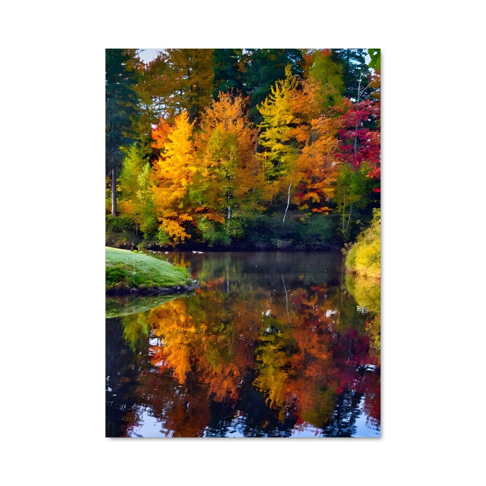 Poster Fall colors 97622