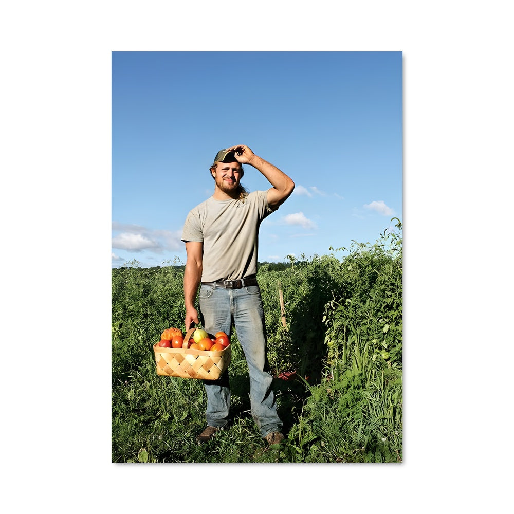 Poster Récolte Ensoleillée