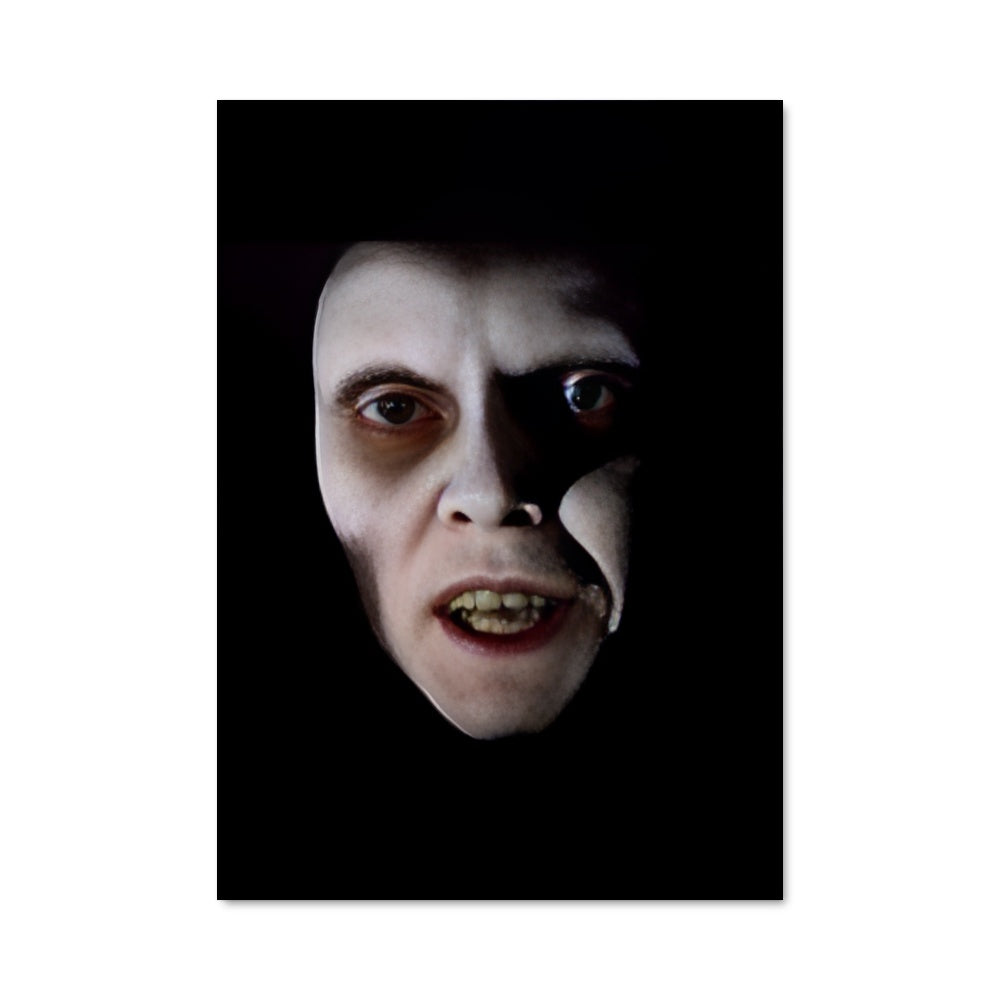 Poster Visage de l'Ombre