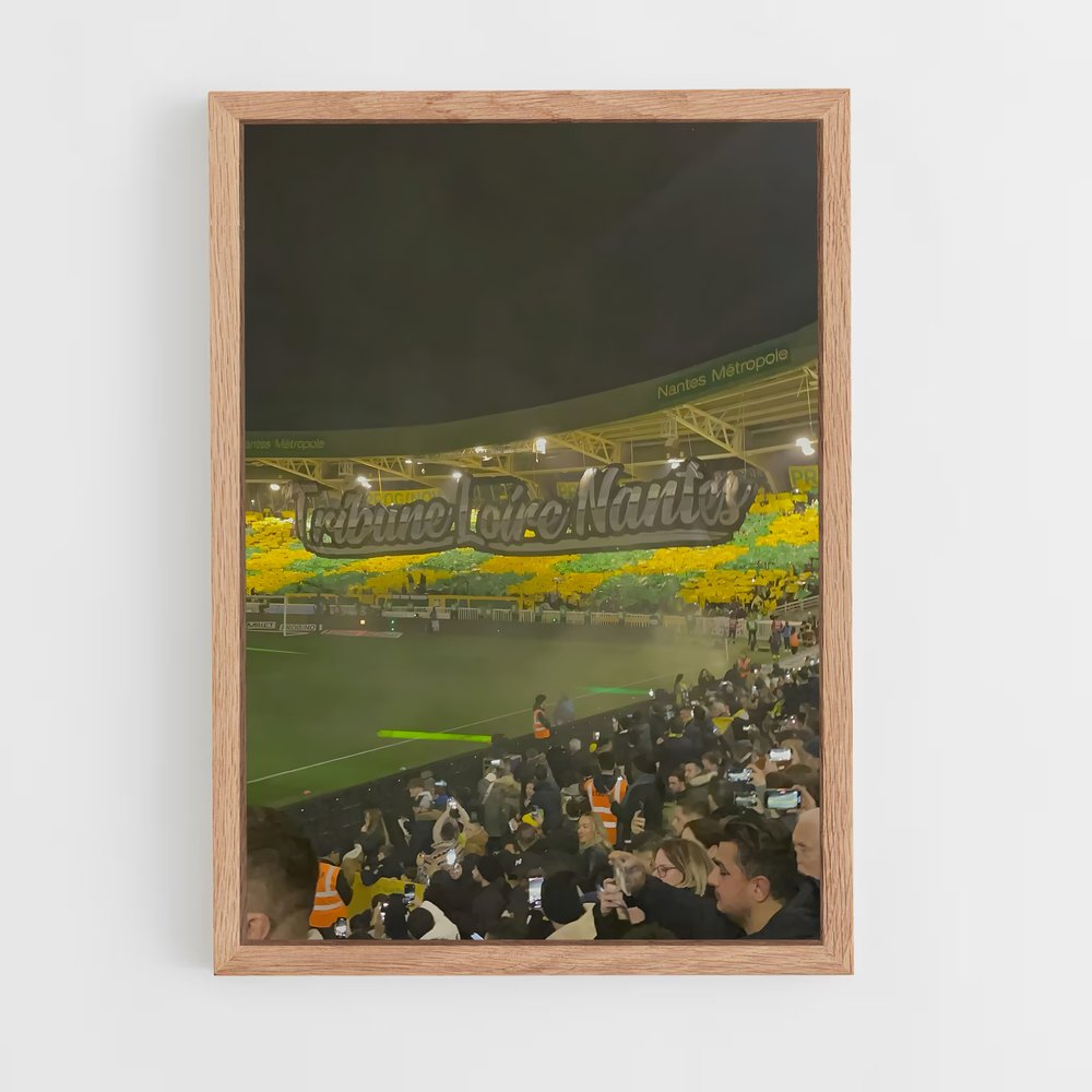 ap-fc nantes-4 cadre Bois clair