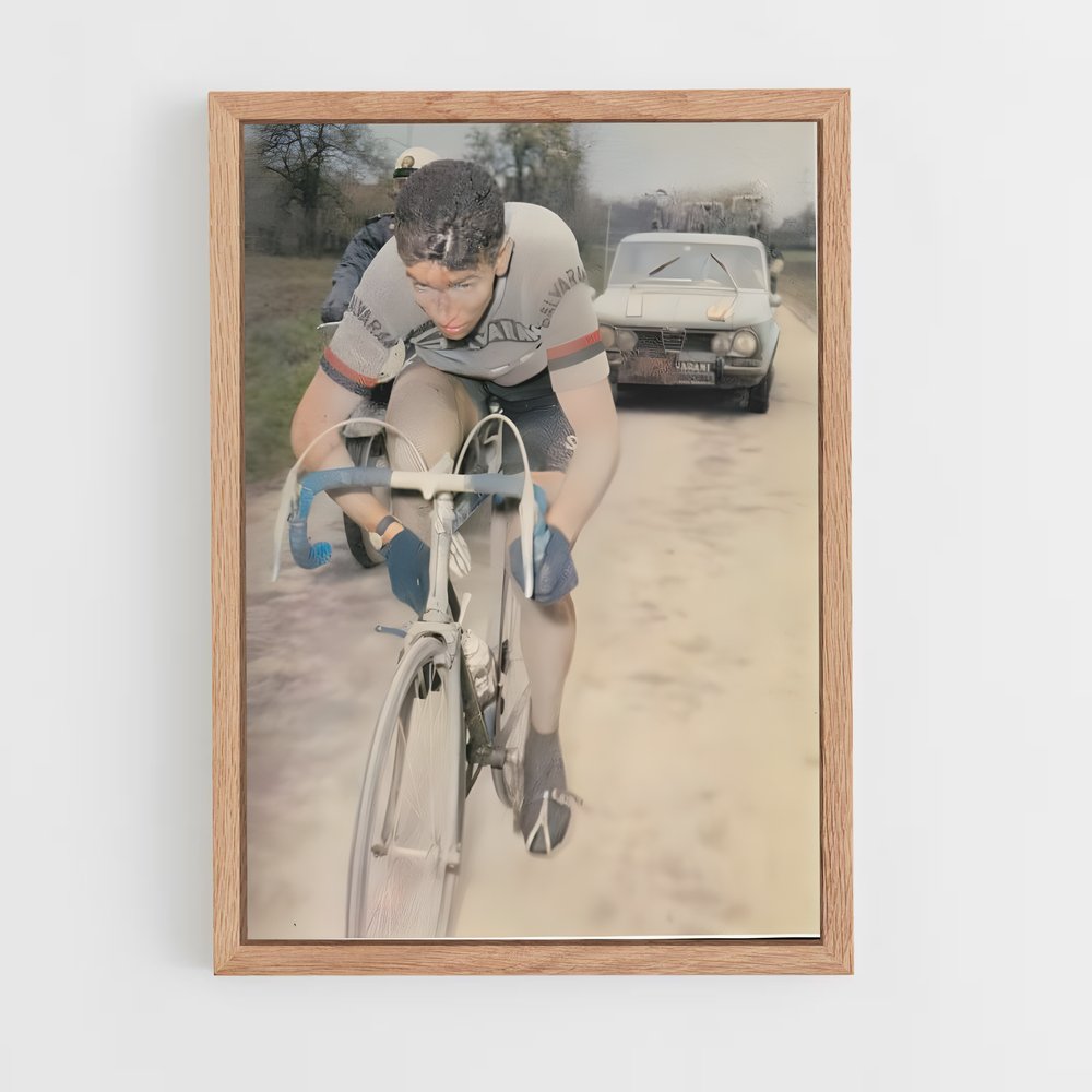 ap-felice gimondi-2 cadre Bois clair