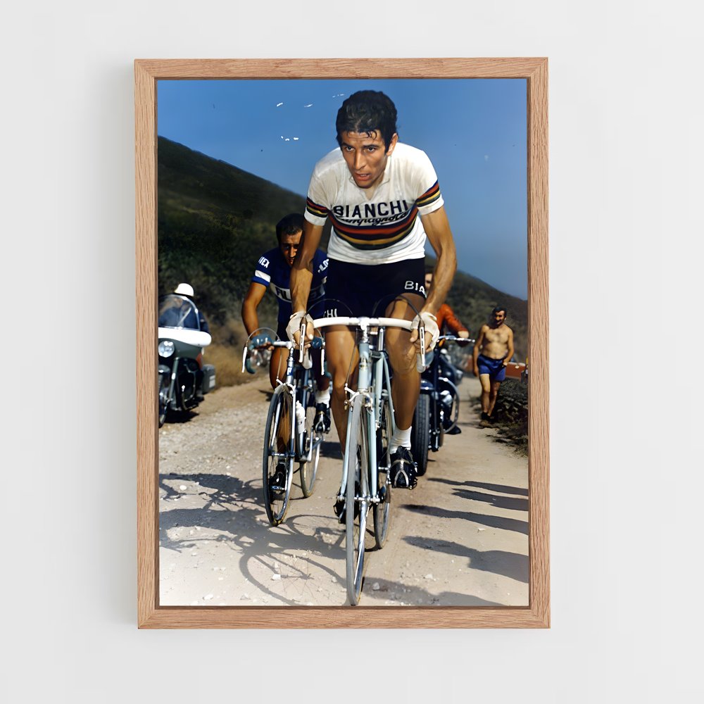 ap-felice gimondi-3 cadre Bois clair