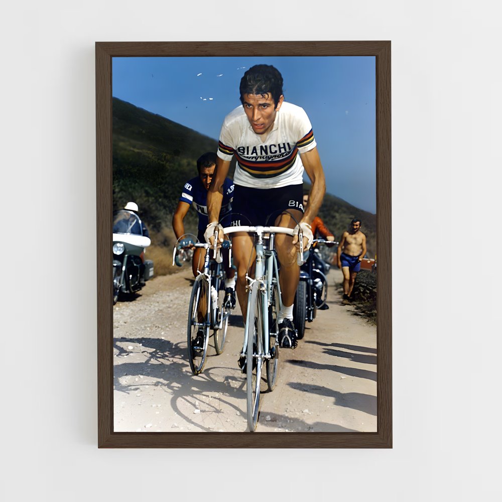 ap-felice gimondi-3 cadre Bois foncé