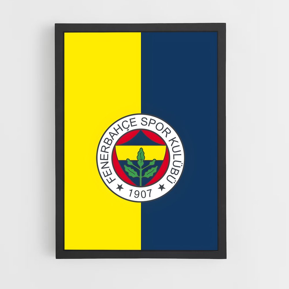 ap-fenerbahce sk-11 cadre Noir