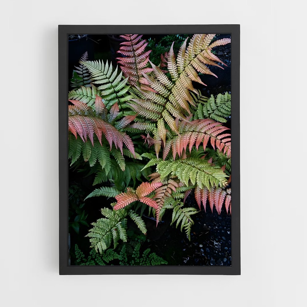ap-ferns-3 cadre Noir