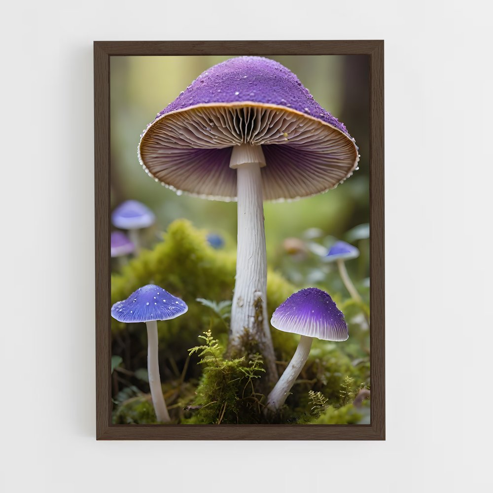 ap-field mushroom-1 cadre Bois foncé