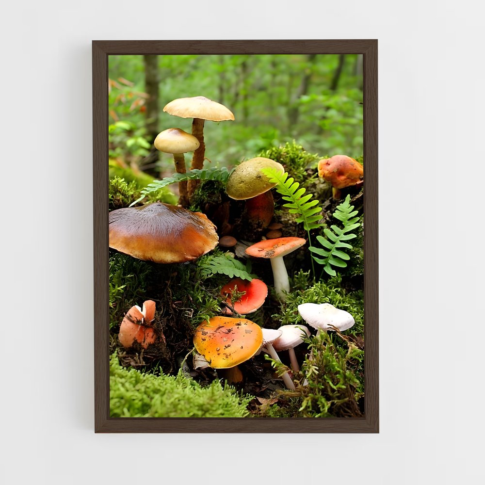 ap-field mushroom-2 cadre Bois foncé
