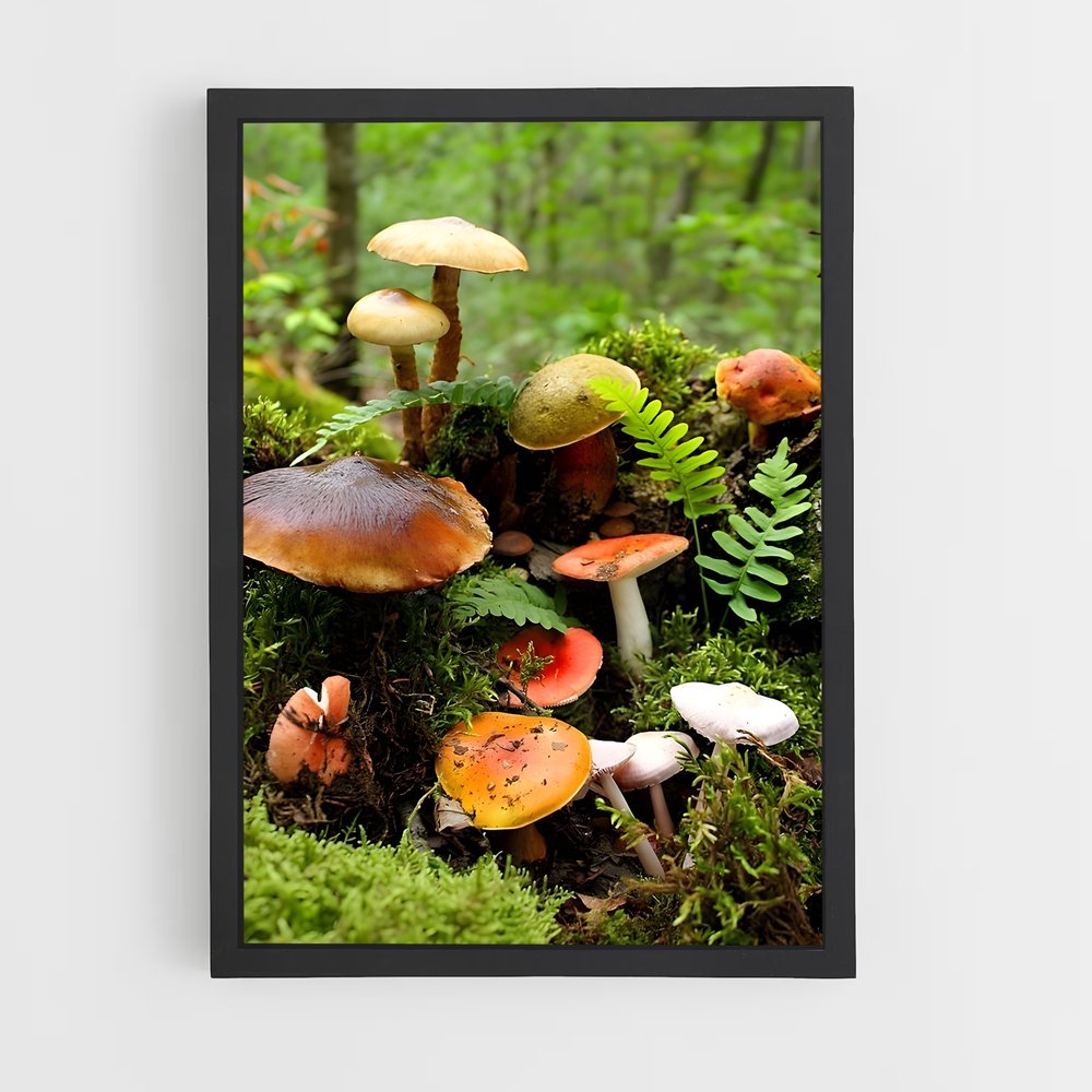 ap-field mushroom-2 cadre Noir