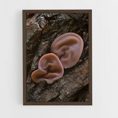 ap-field mushroom-5 cadre Bois foncé