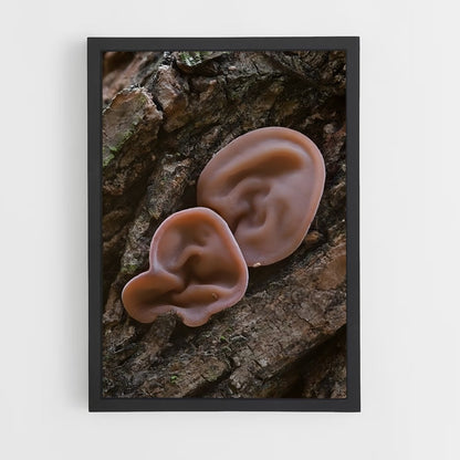 ap-field mushroom-5 cadre Noir