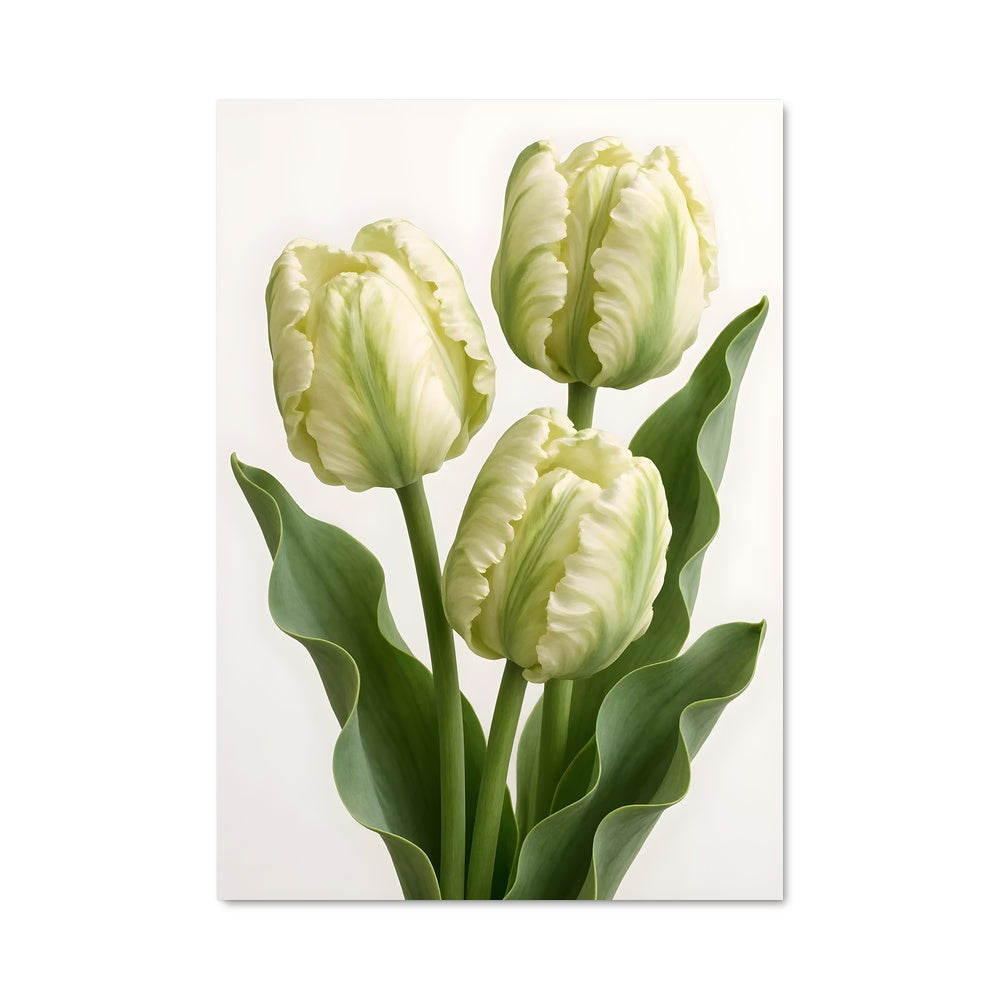 Poster Tulipes Éternelles