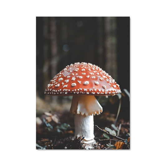 Poster Le Champignon Enchanté