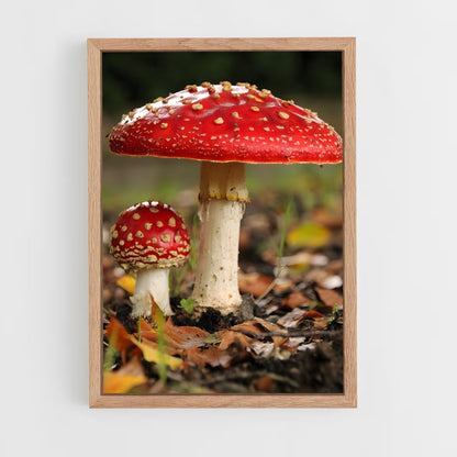 ap-fly agaric-2 cadre Bois clair