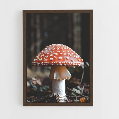 ap-fly agaric-3 cadre Bois foncé