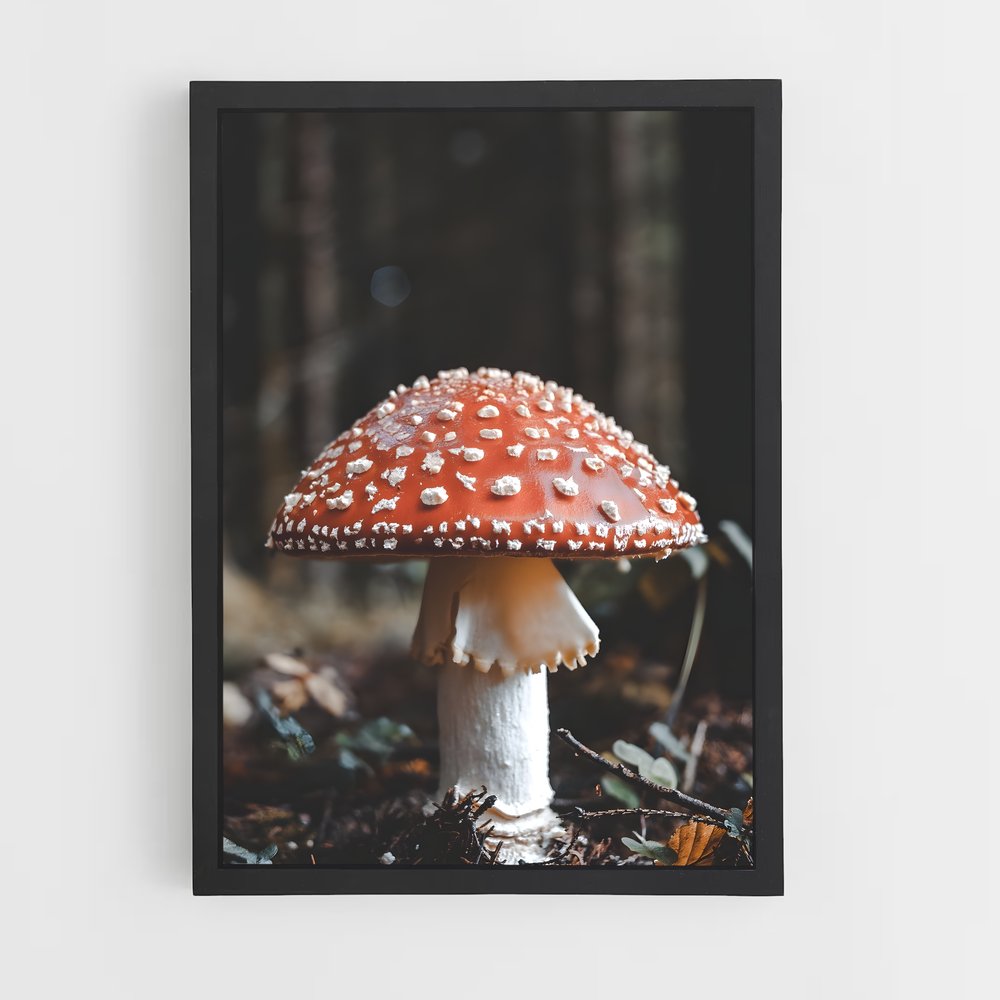 ap-fly agaric-3 cadre Noir